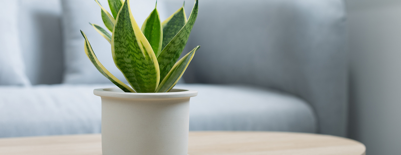 Zentrale Wohnraumlüftung